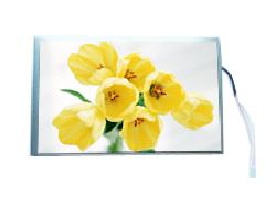 PM070WL3--元太7寸数字液晶屏（LVDS、LED）